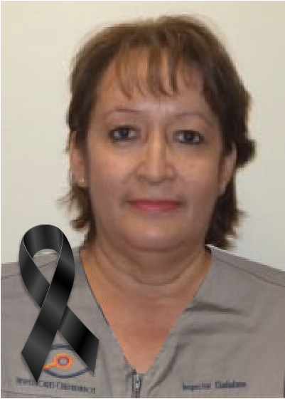 Artemisa Serna Serecer